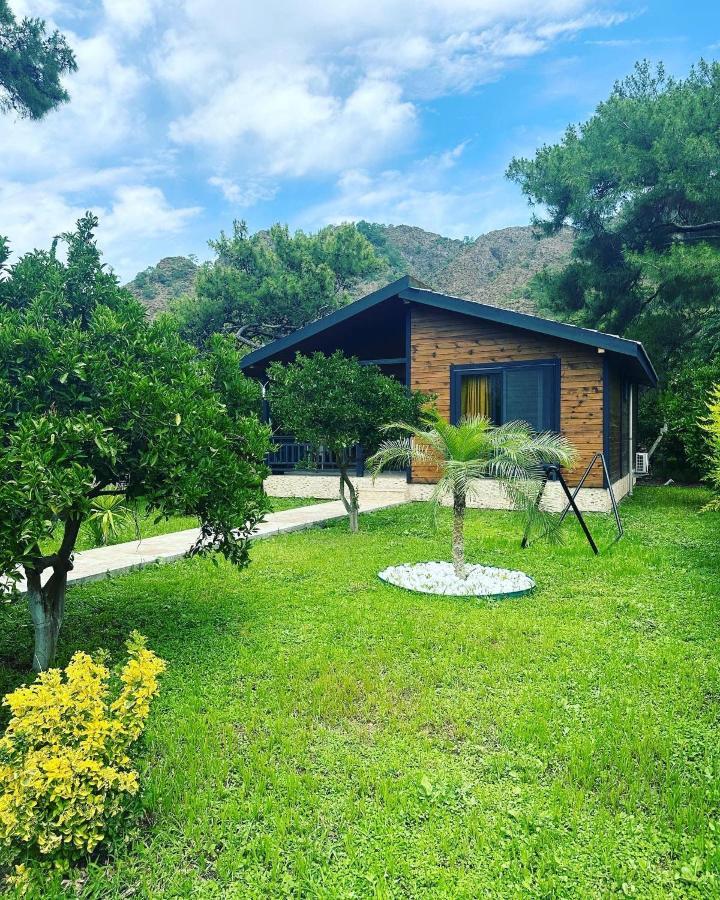 Vi̇llas Villa Cirali
