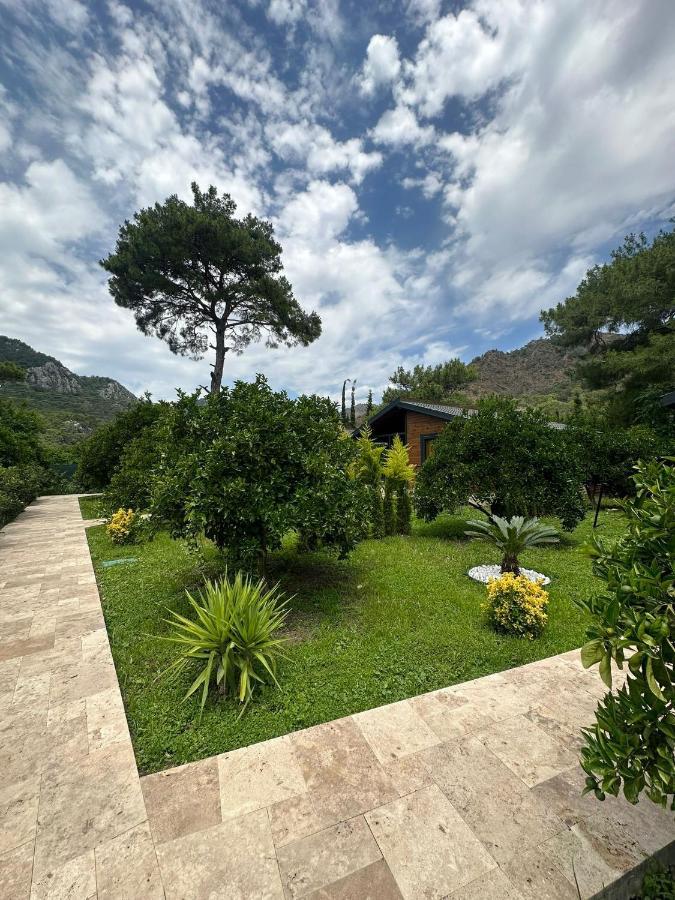 Vi̇llas Villa