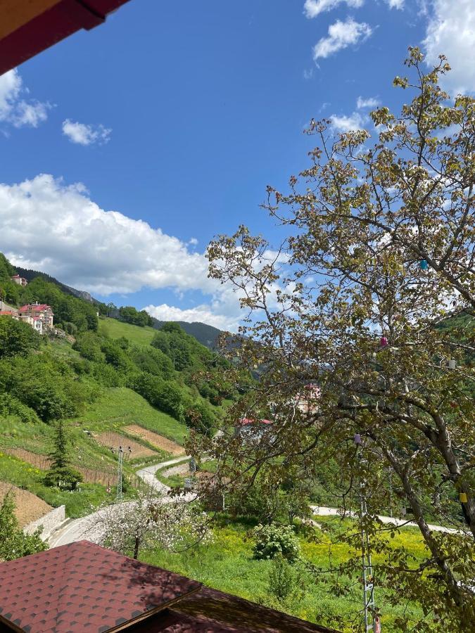 Resort Bizim O'ra Kueme Evleri &