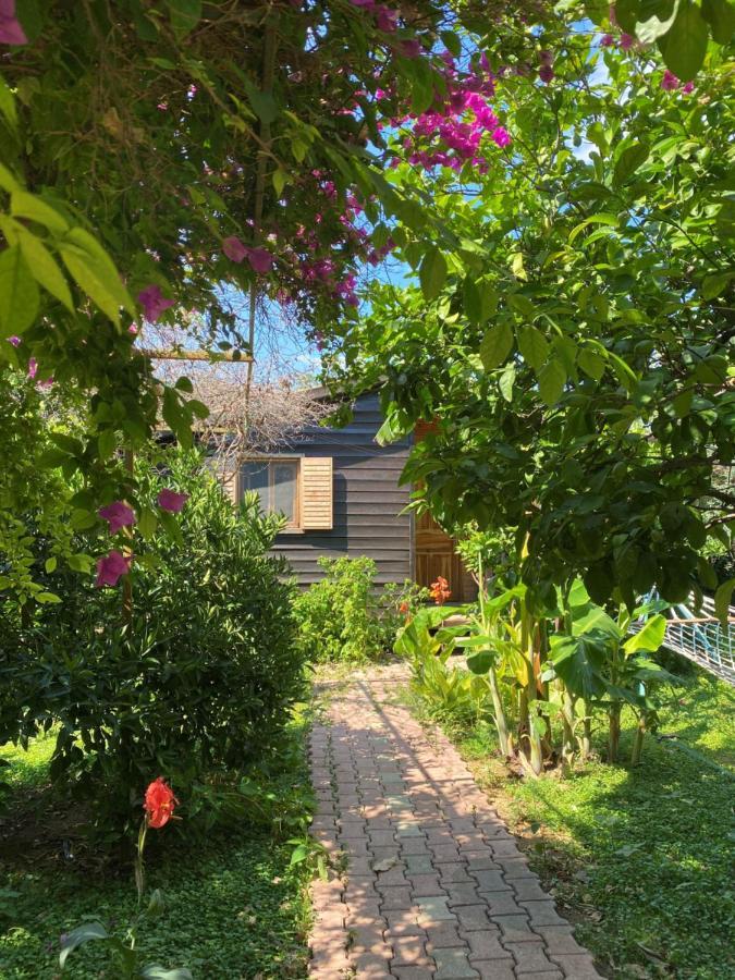 Bed & Breakfast Lemon Garden