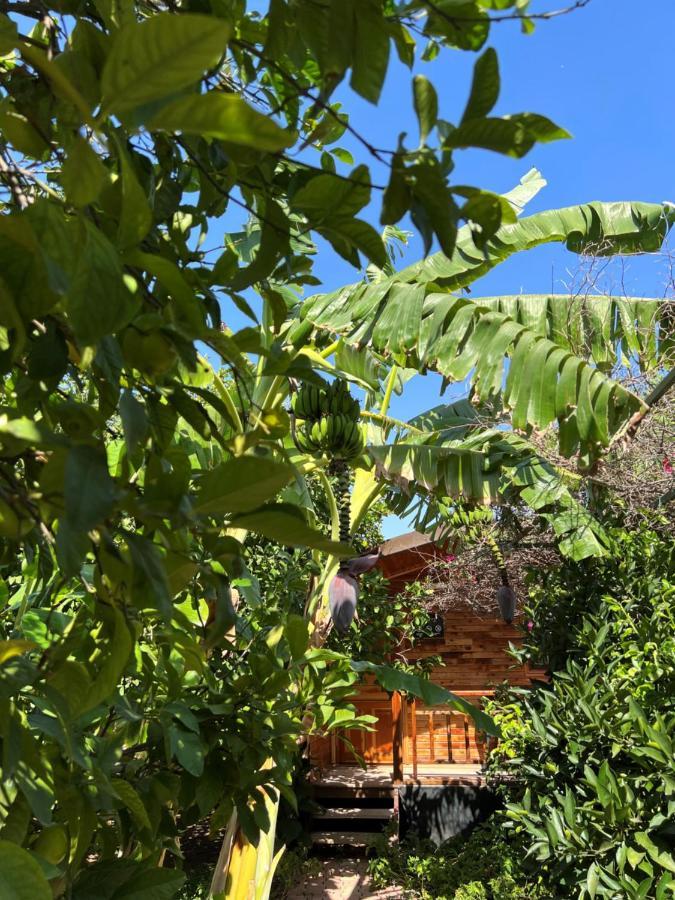 Lemon Garden Bed & Breakfast 2*