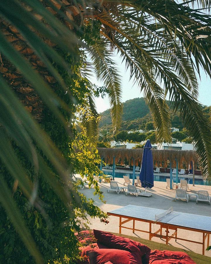 Club Afrodit Tatil Koeyue Resort Altinoluk