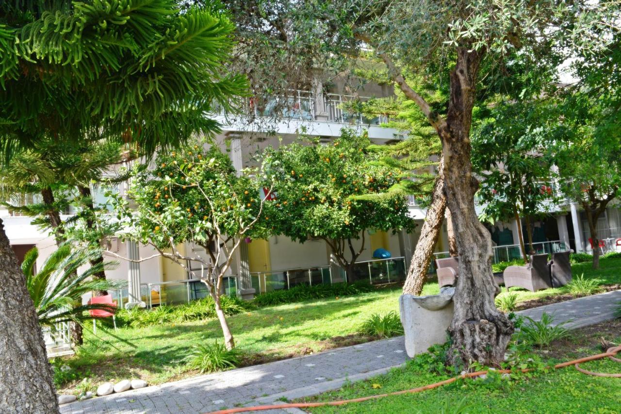Clover Magic Nova Hotel Side