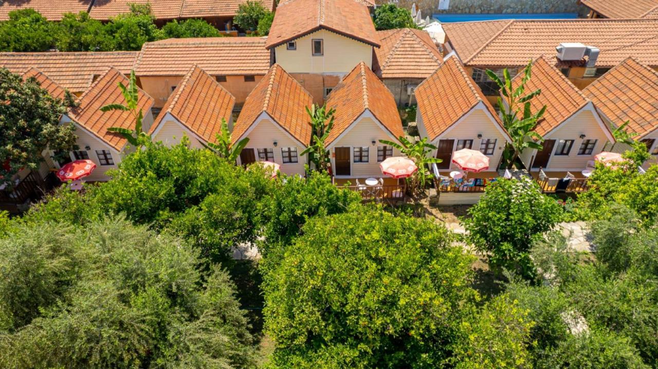 Clover Magic Nova Hotel