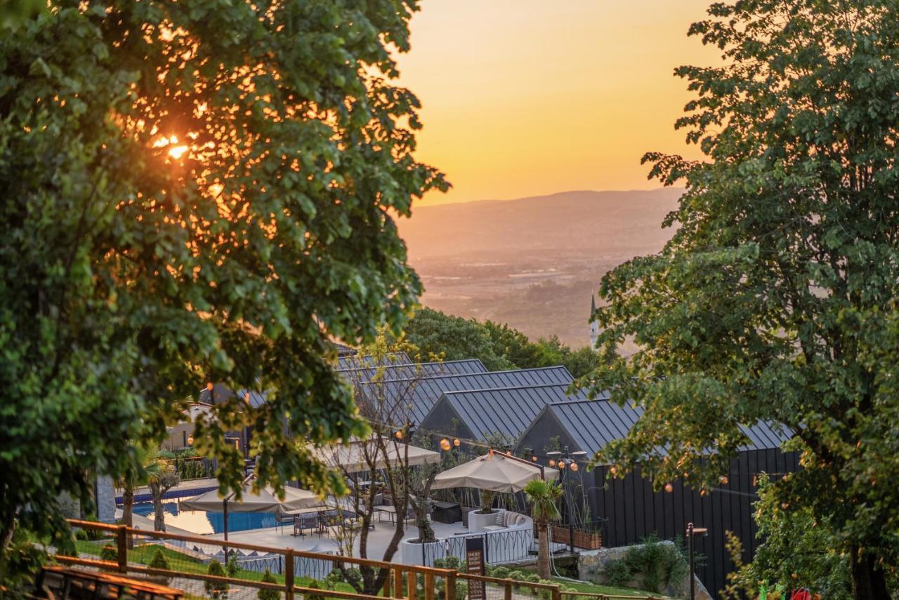 Alya Kartepe