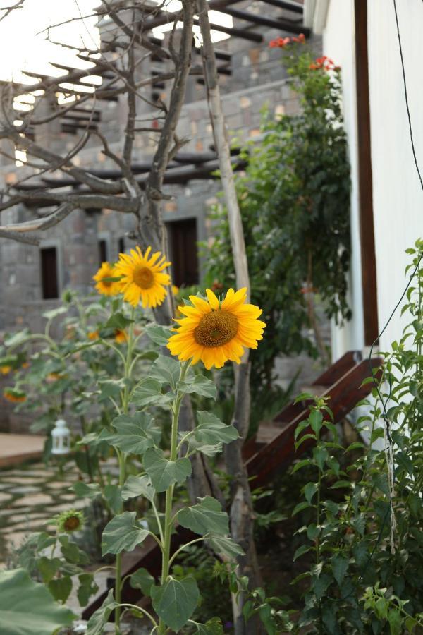 Hotel Akvaryum