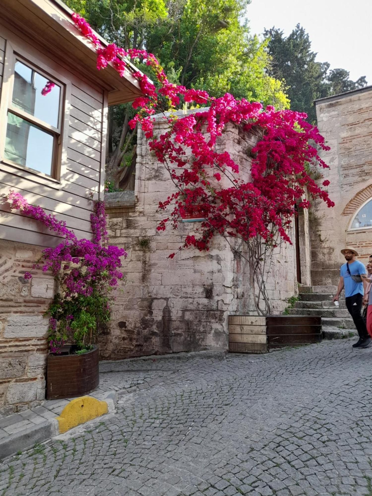 Guest house Emirhan &