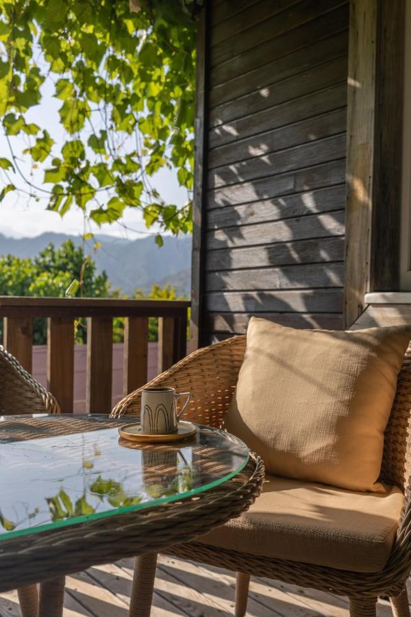 Caretta Caretta Guest house 3*