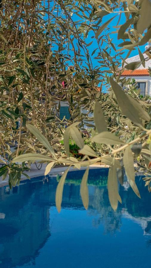 Hotel Panjur (adults Only) Alacati