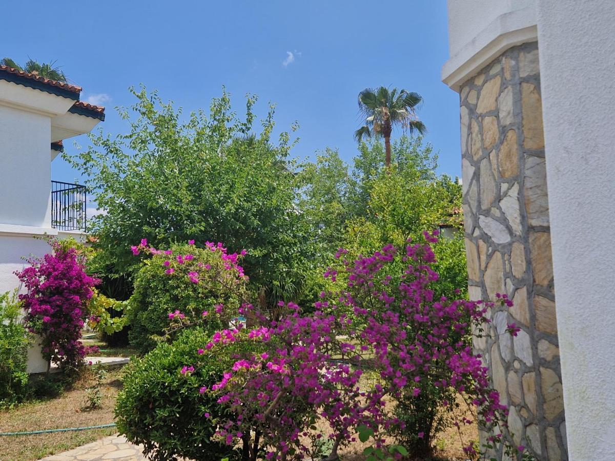 Aparthotel Club Mel 3*