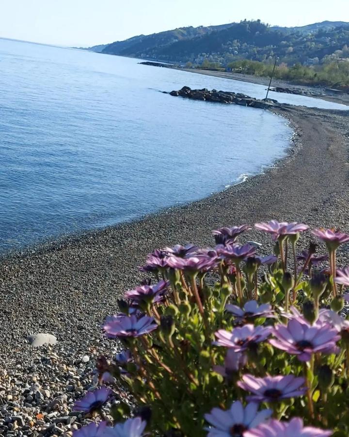 Apartment Seafront By The Sea And With A And With Big Garden