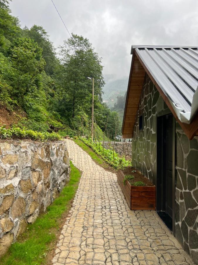 Afara & Cafe Rize
