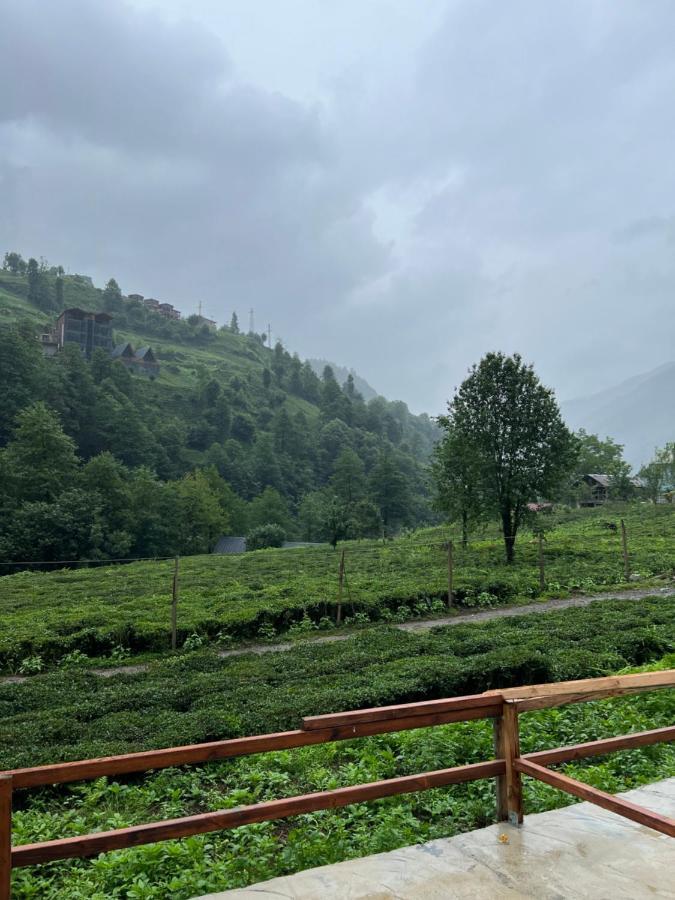 Afara & Cafe Rize