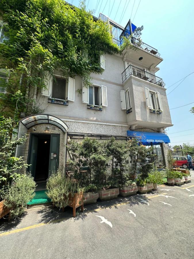 Queen Seagull Boutique Bed & Breakfast