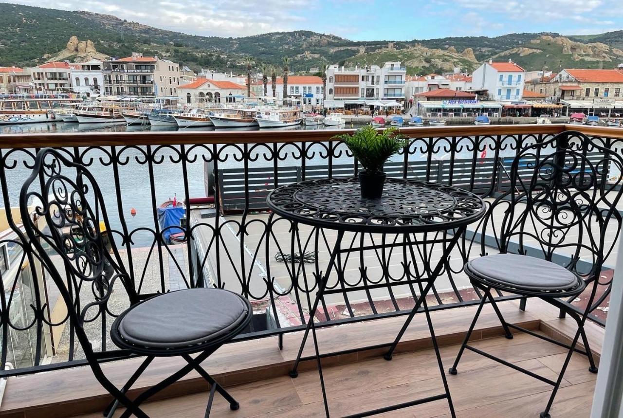Palmiye * Foca