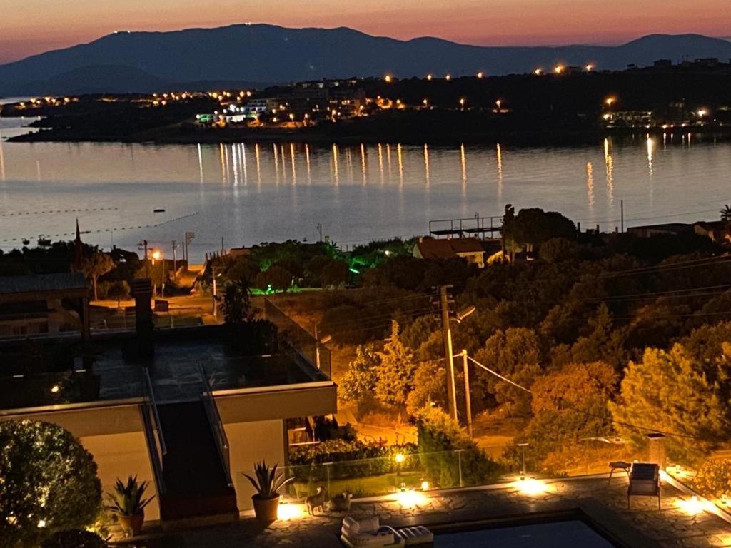 Palmiye * Foca