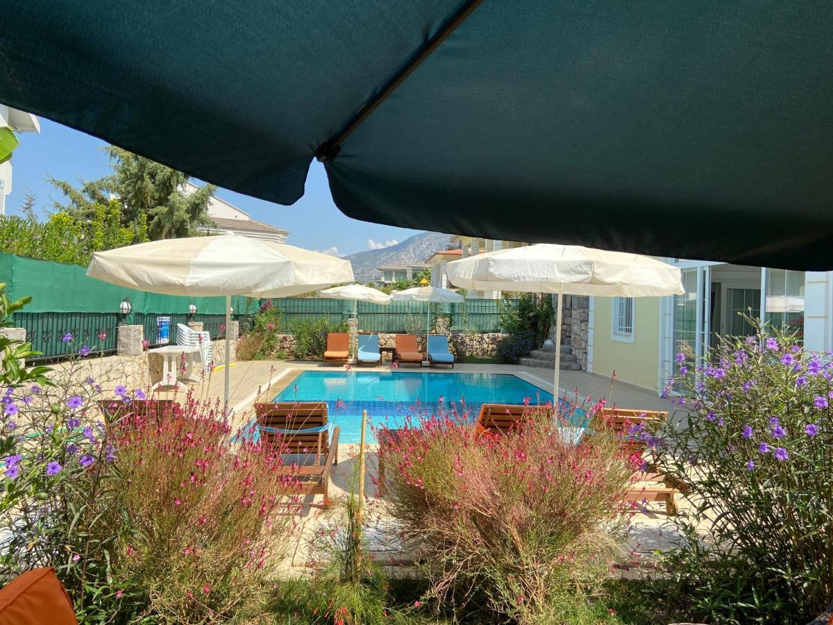 Alpine At Hisaroenue Oeluedeniz Ovacik 6+2, 12 People Villa *