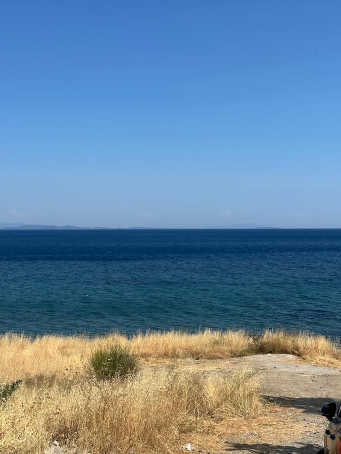 Merlot Assos Ayvacik