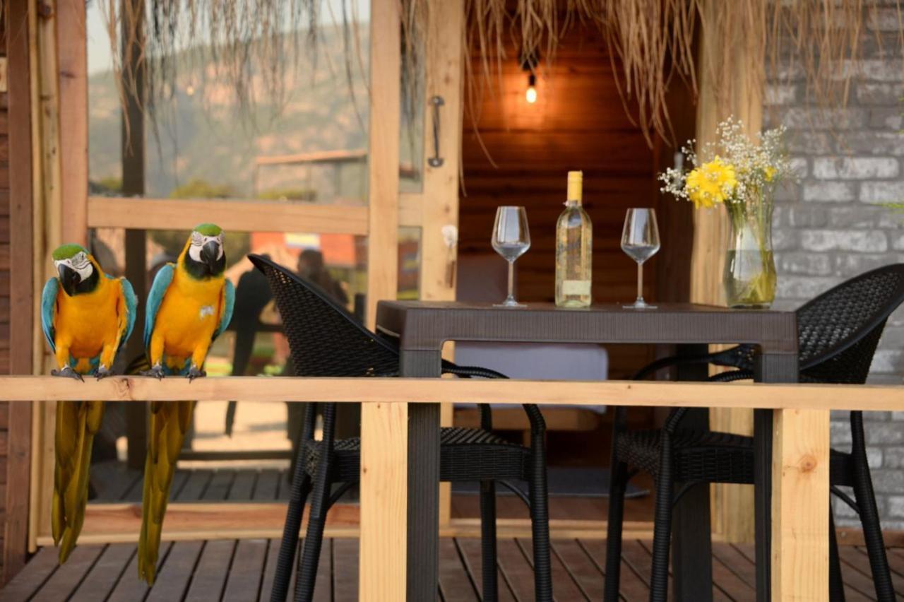 Pine & Luxury Concept Hotel