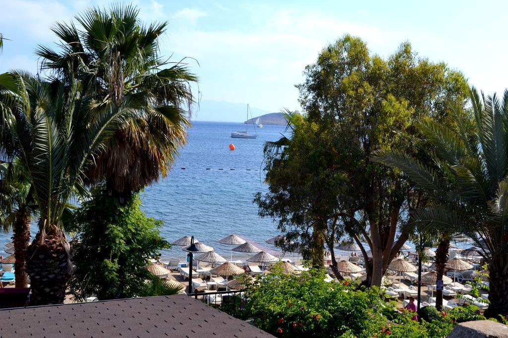 Deniz 3*
