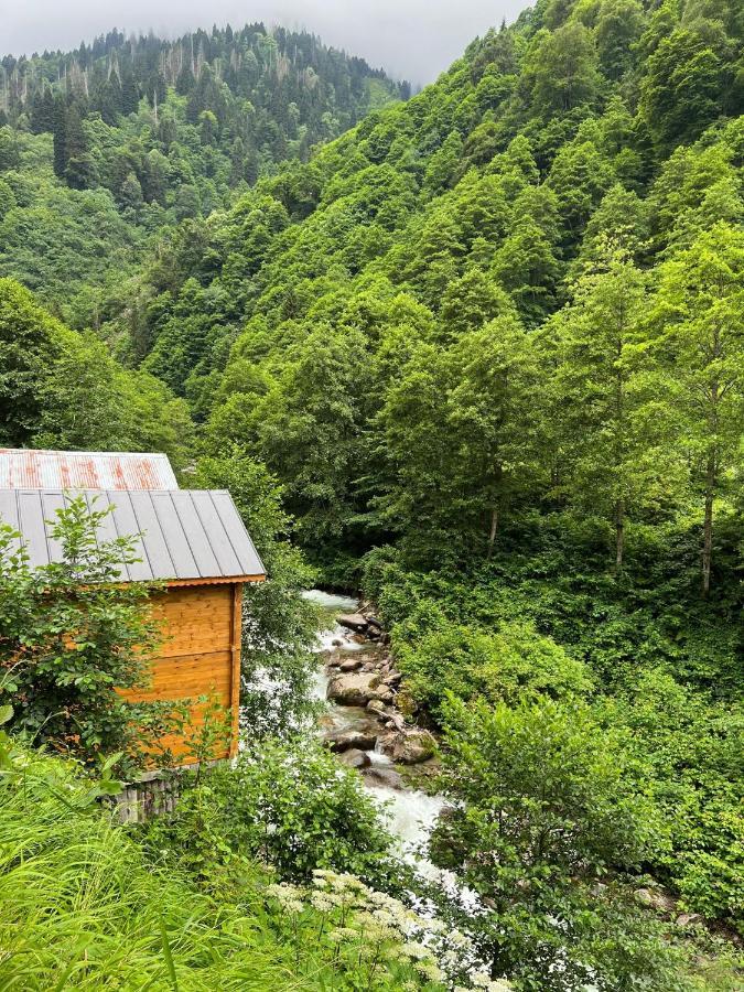 Hotel Hasimoglu