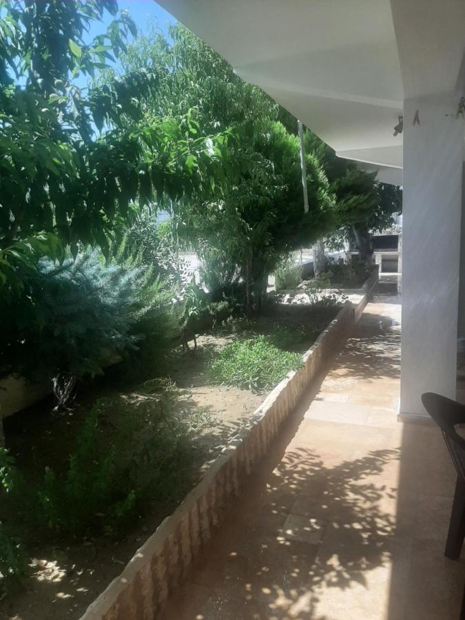 Elite Guest house *