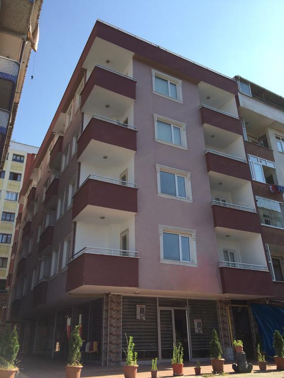 Elite In Apartment