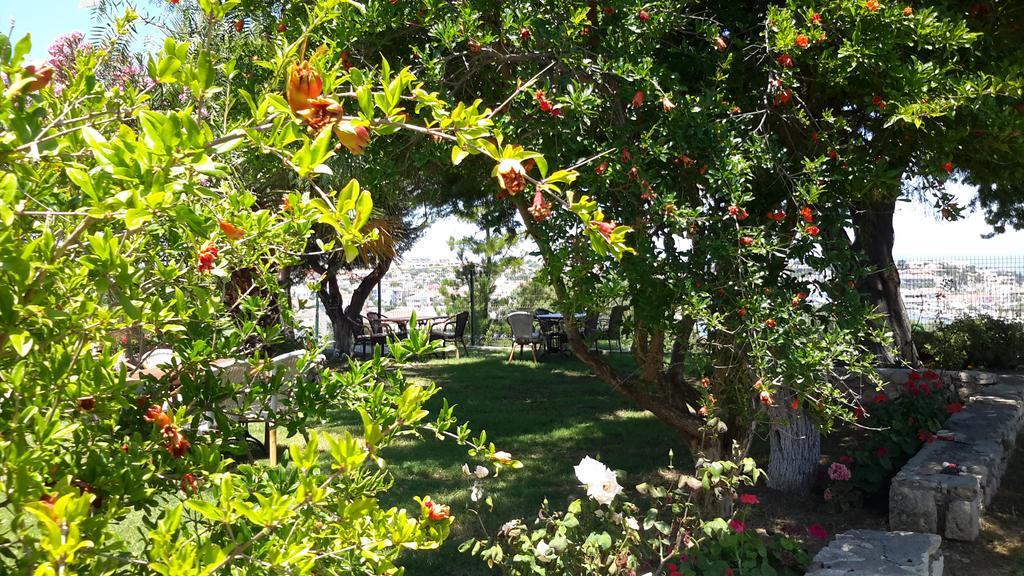 Dalyan Kucuk Ev Butik Bed & Breakfast *