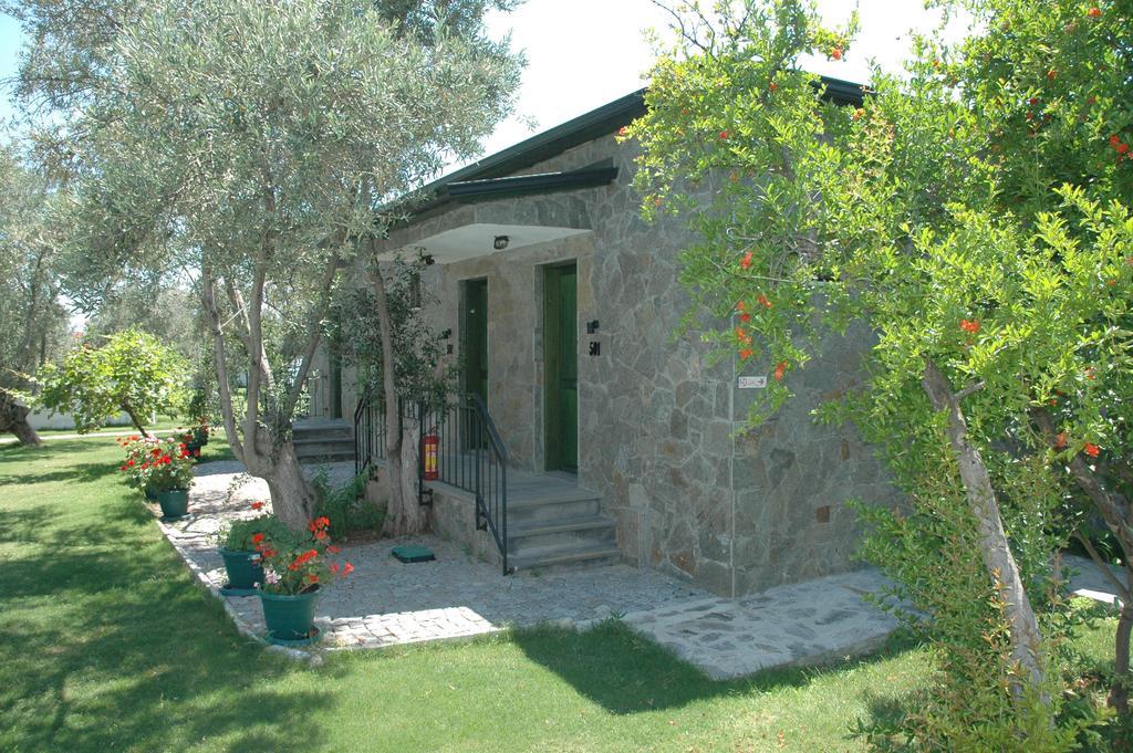 Assos Oleas 4*