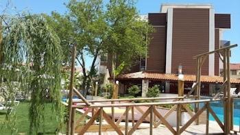 Dream Hotel