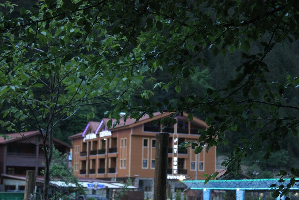 Hotel My Uzungol