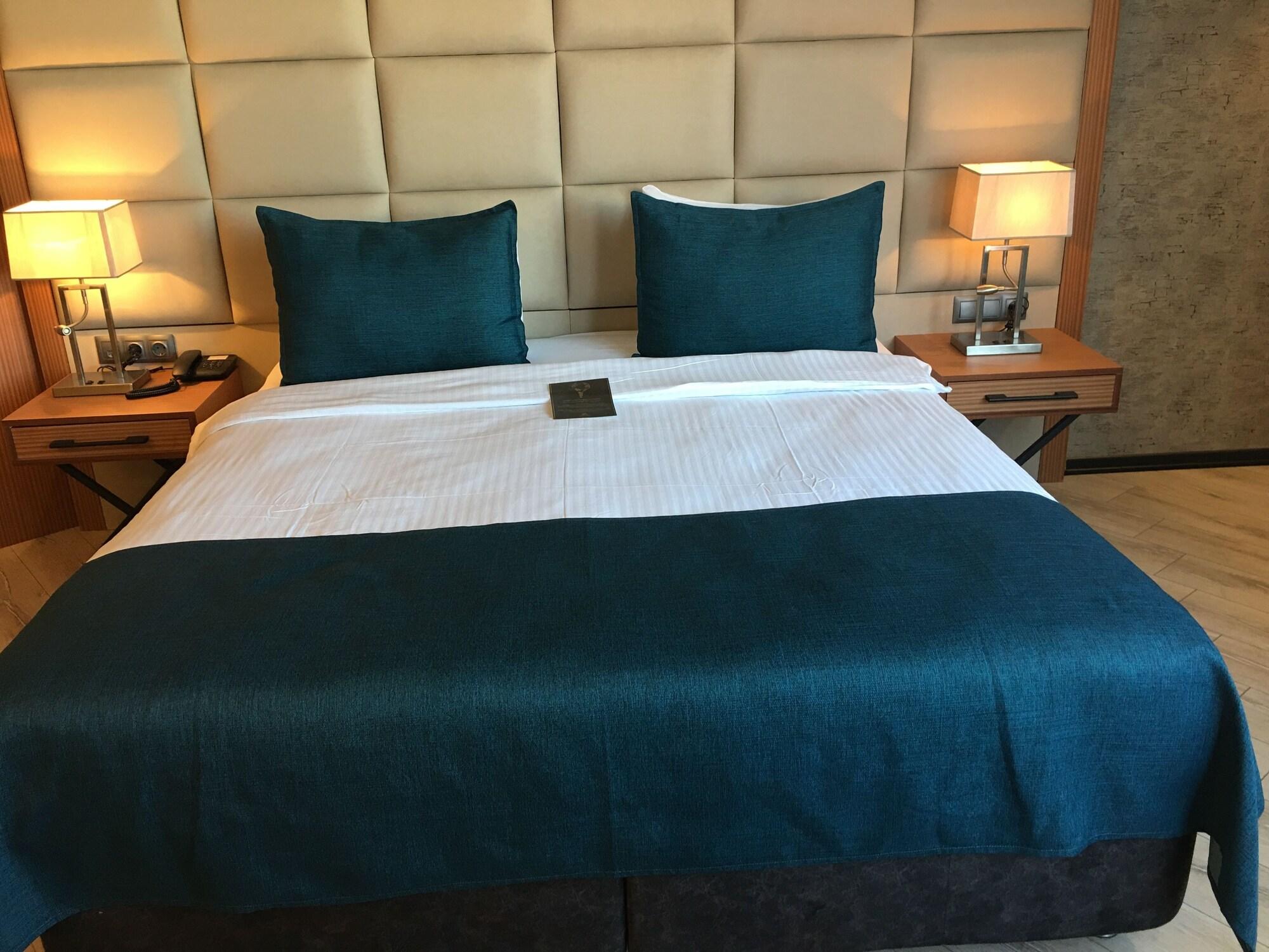 Hotel Grand Vaves 4*