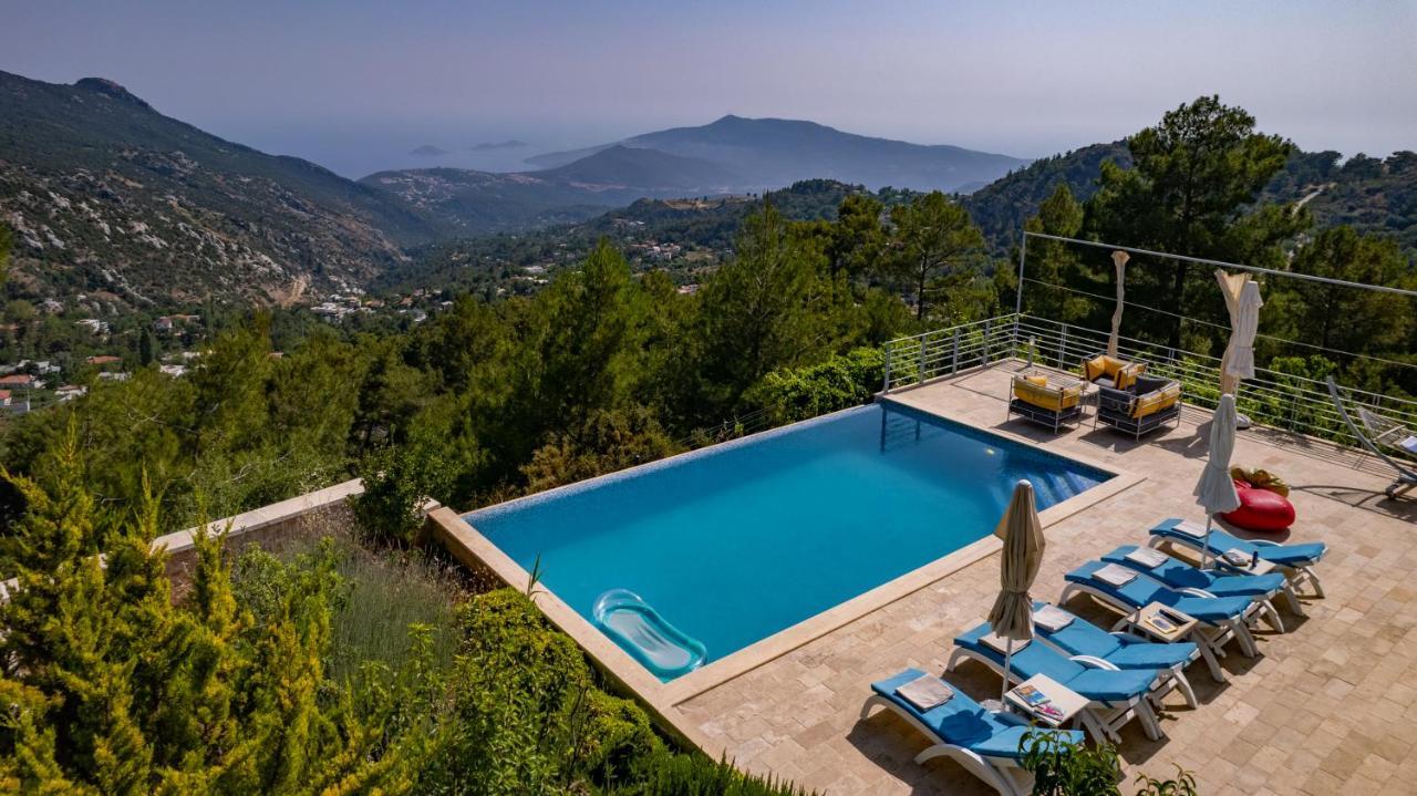 Eco Ozzy * Kalkan