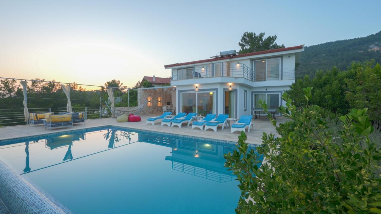 Eco Ozzy Kalkan