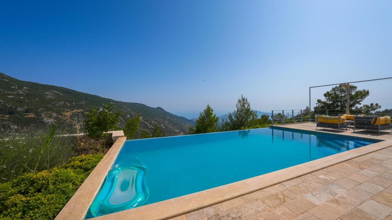 Eco Ozzy Villa *