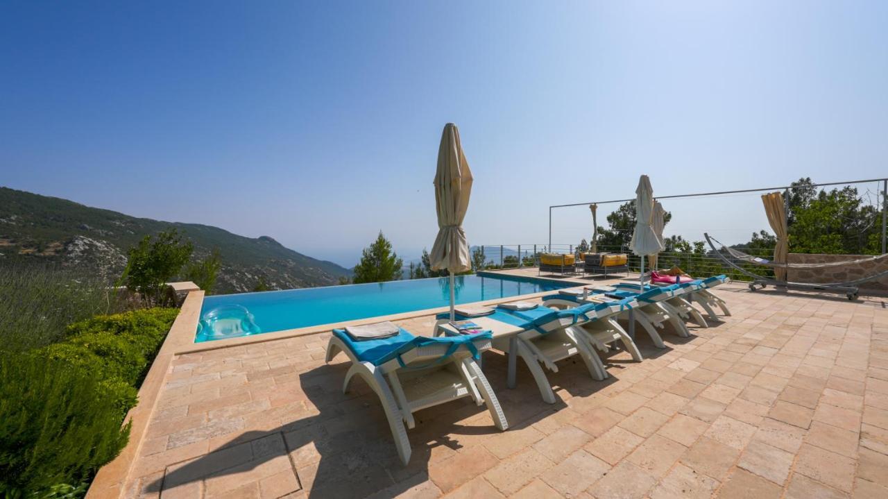 Eco Ozzy Villa