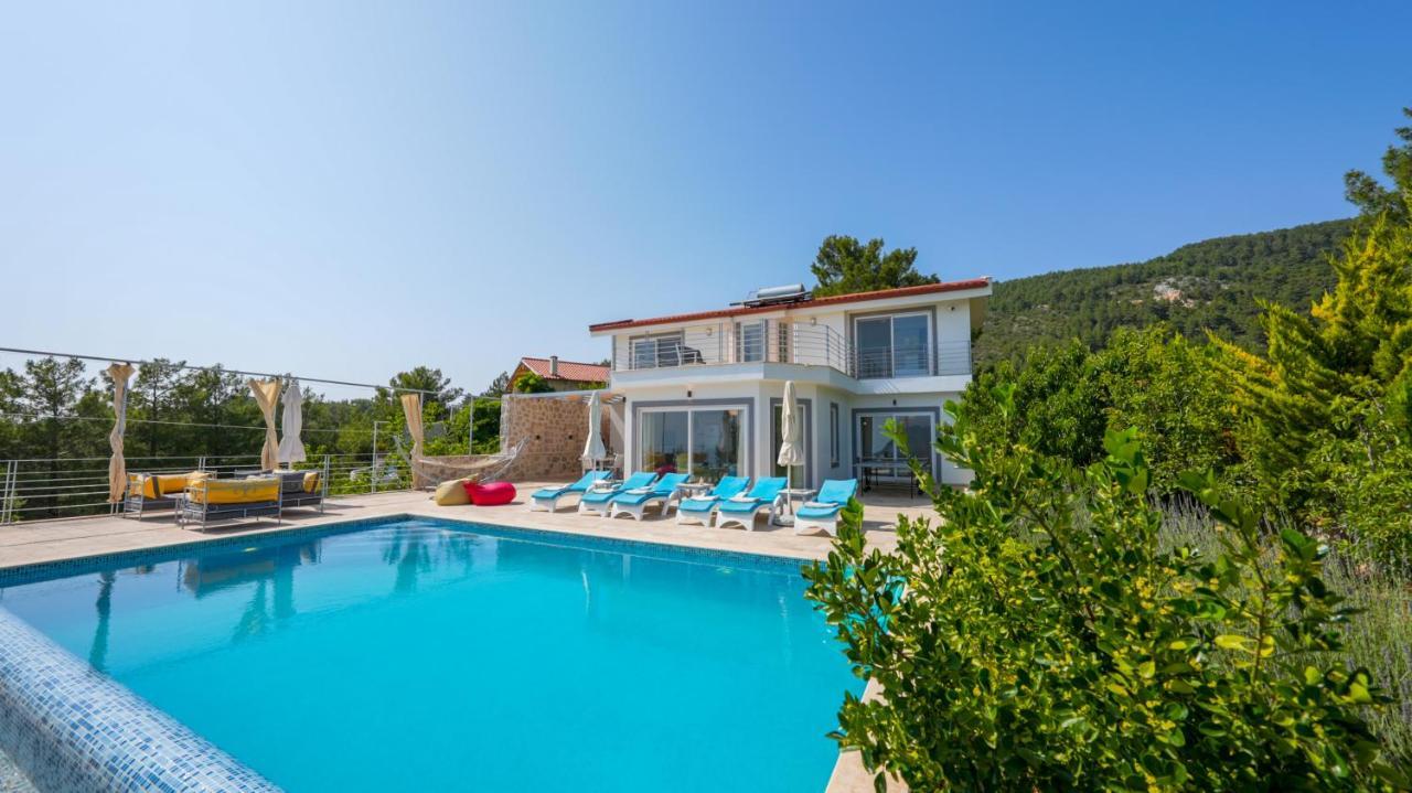 Eco Ozzy Kalkan