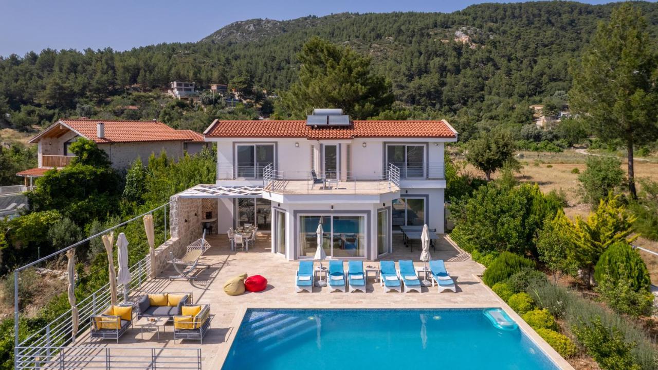Villa Eco Ozzy