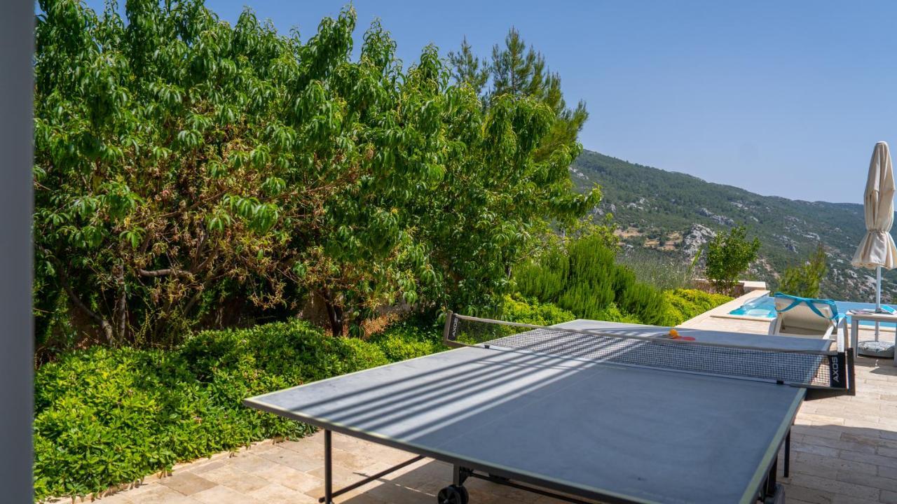 Eco Ozzy Villa *
