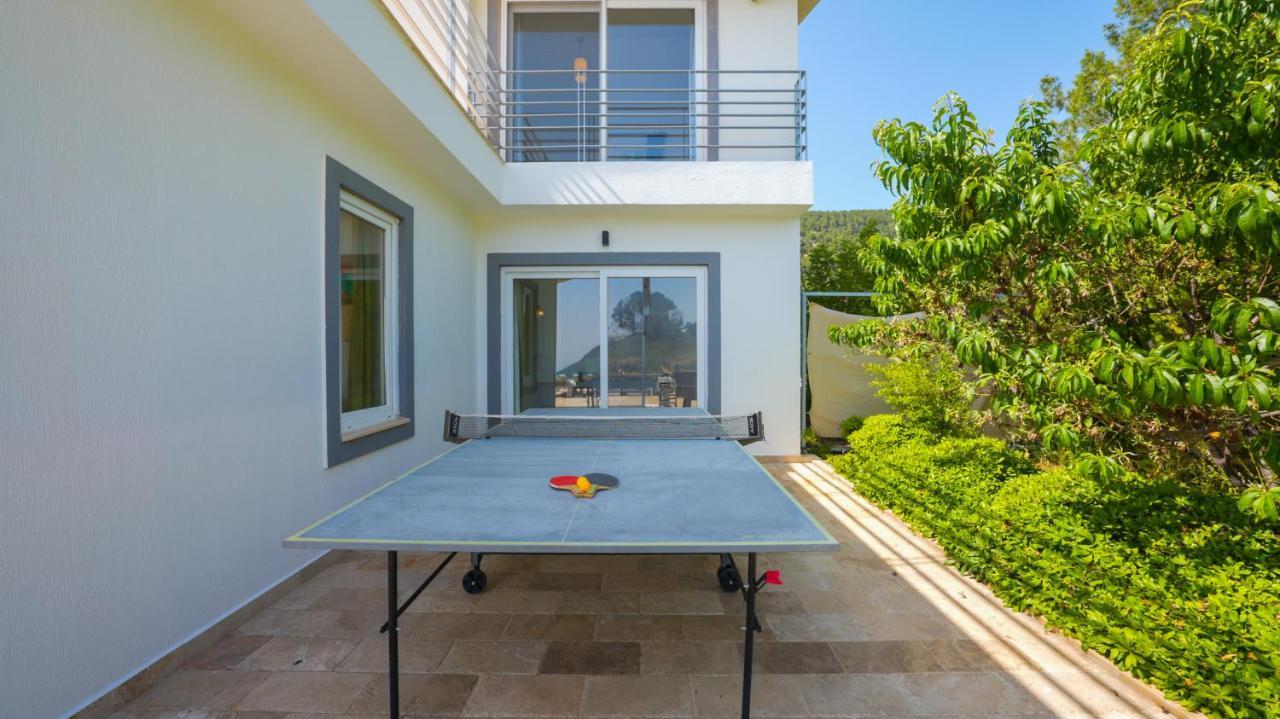 Eco Ozzy Villa *