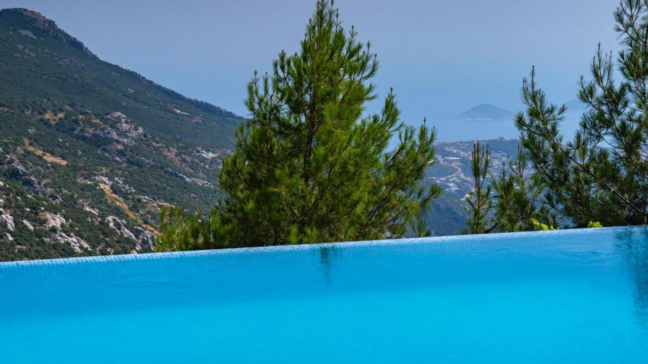 Eco Ozzy Villa