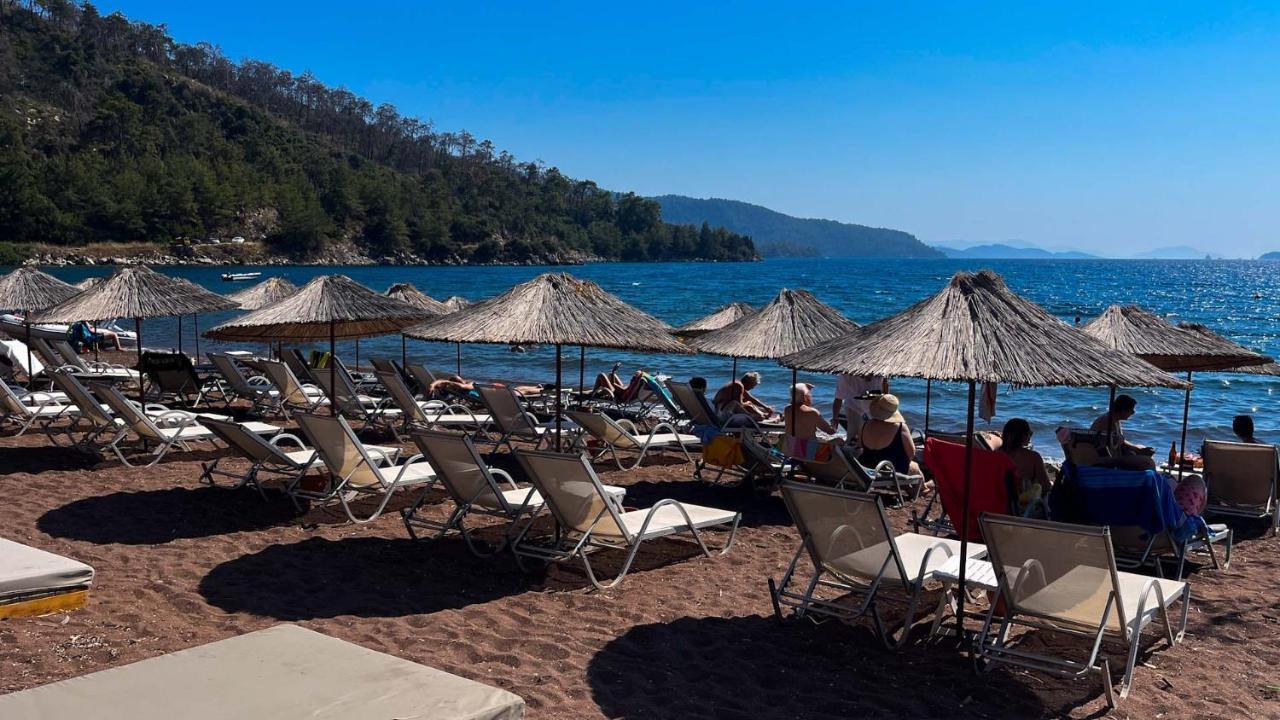 Thanos Mugla