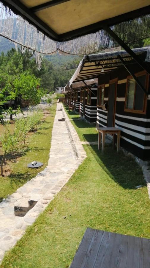 Durusu Ciftlikevleri Bed & Breakfast *