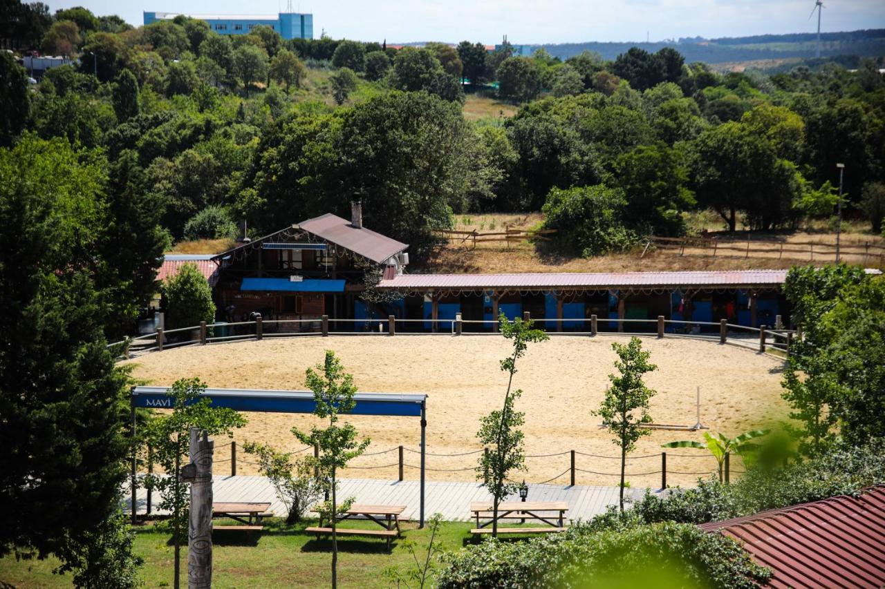 Mavi At Blue Horse Gumusdere