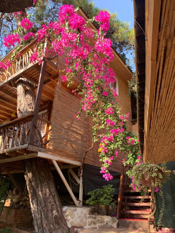 Large With Sea View In Kabak Bay, Oeluedeniz Hotel *