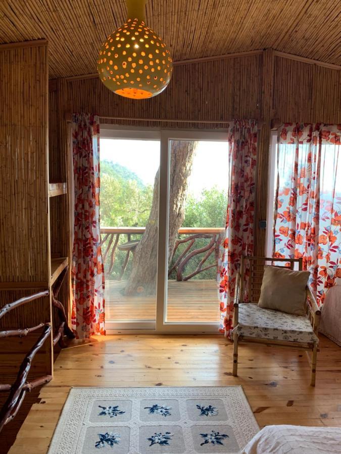 Hotel Large With Sea View In Kabak Bay, Oeluedeniz Fethiye