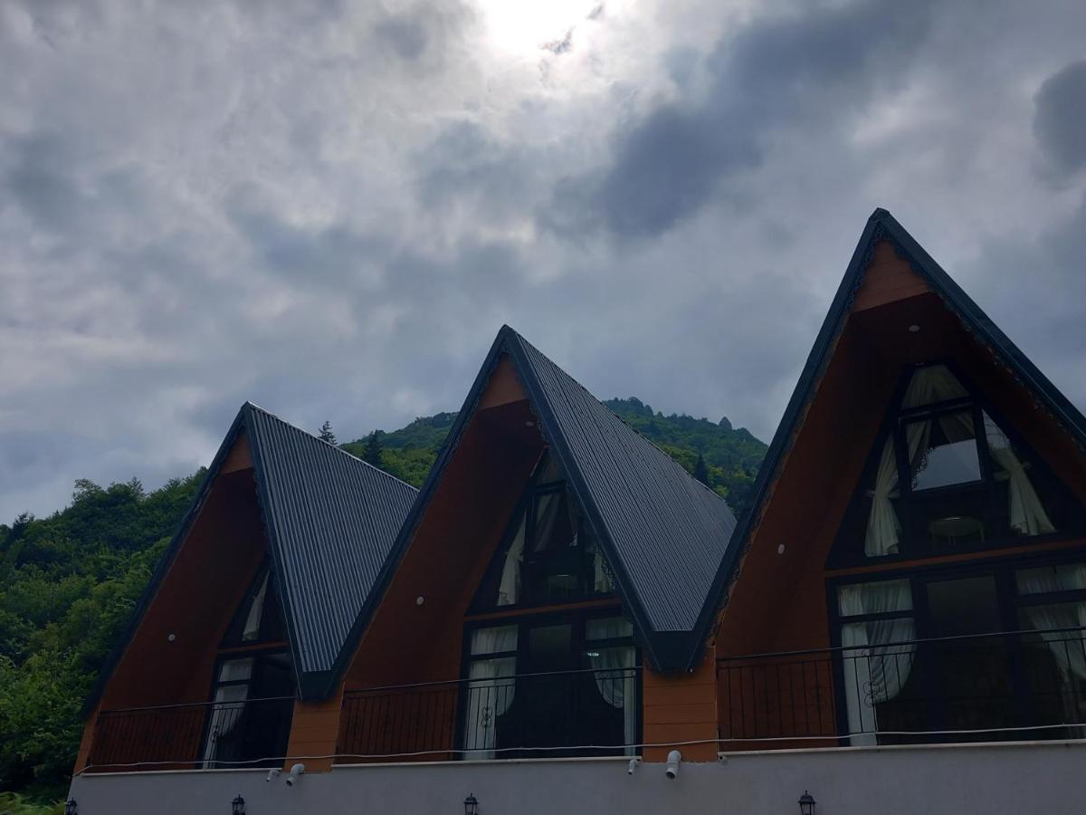 Chalet Uzungoel Caykara