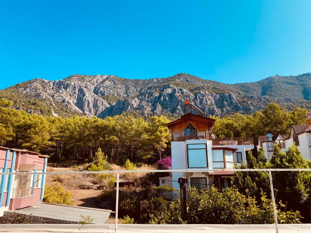 Bed & Breakfast Gelidonya *