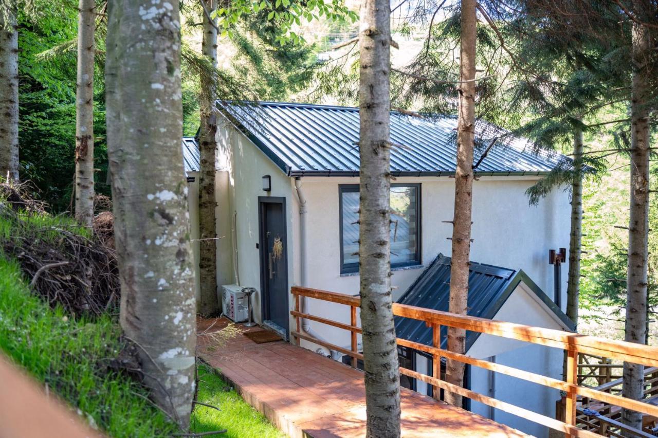 Montana Holiday home Trabzon