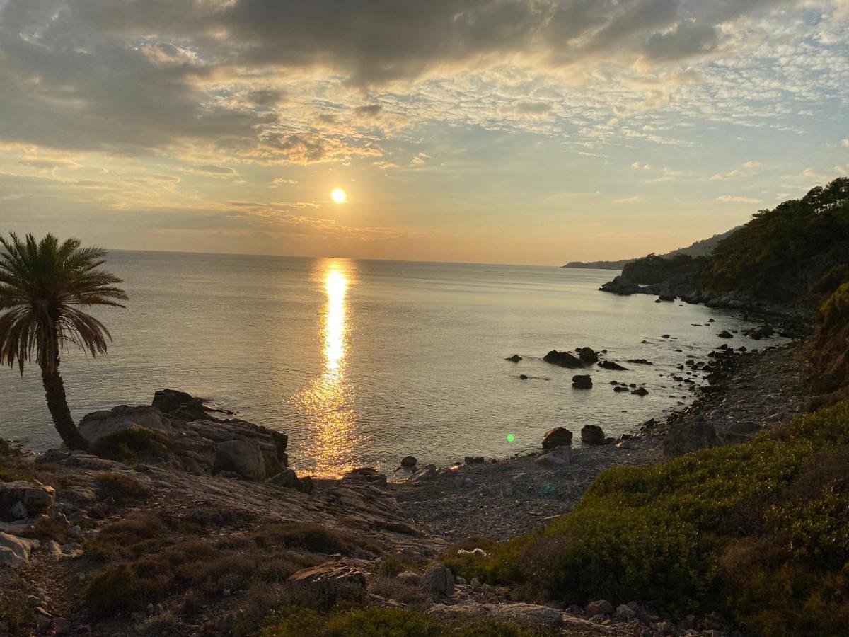 Bed & Breakfast Gelidonya